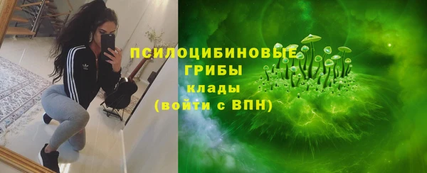 дурь Алексеевка