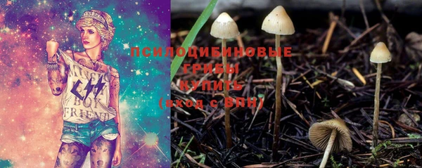 ешки Алзамай